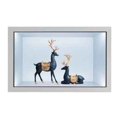 21.5 Inch Transparent LCD Showcase with Capacitive Touch Screen and 2000nits Brightness Digital Display Cabinet